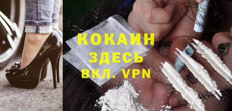 Cocaine Fish Scale  наркотики  Севастополь 